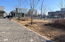조성사진