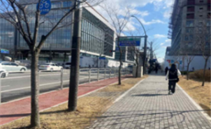 조성사진