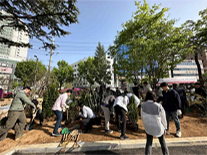 조성사진