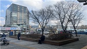 조성사진