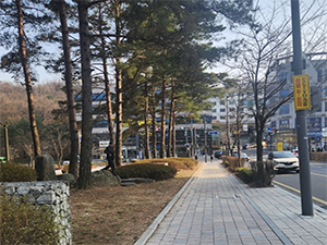조성사진
