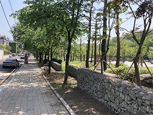 조성사진