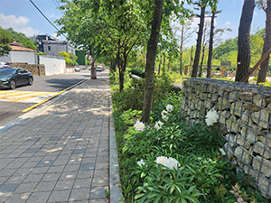 조성사진