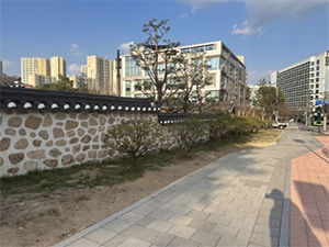 조성사진