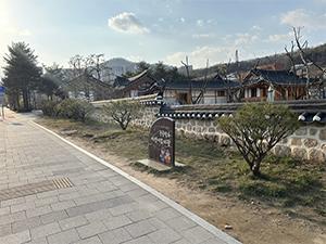 조성사진