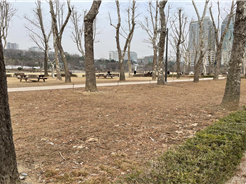조성사진