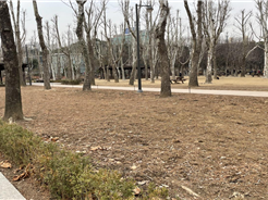 조성사진