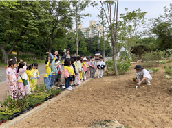 조성사진