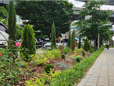 조성사진