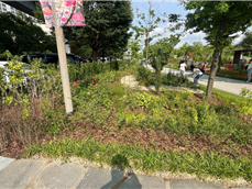 조성사진