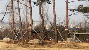 조성사진