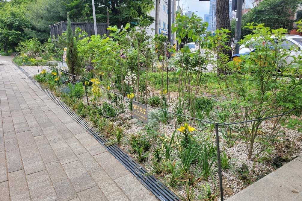 조성사진