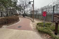 조성사진