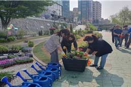 조성사진