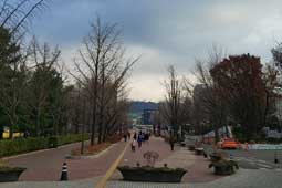 조성사진