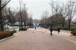 조성사진