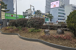 조성사진