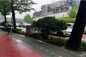 조성사진