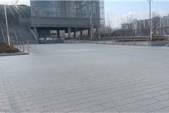 조성사진