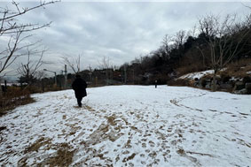 조성사진