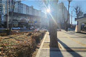 조성사진