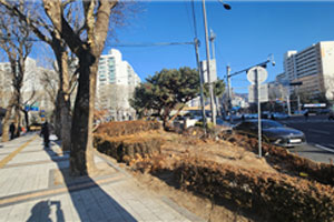 조성사진