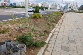조성사진