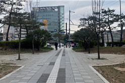조성사진