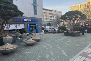 조성사진