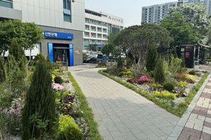조성사진