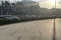 조성사진