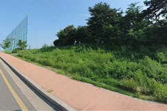 조성사진
