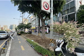 조성사진