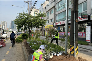 조성사진