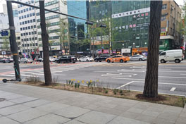 조성사진