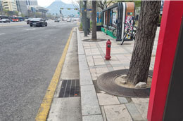 조성사진