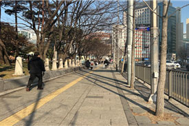 조성사진