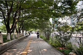 조성사진