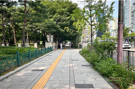 조성사진