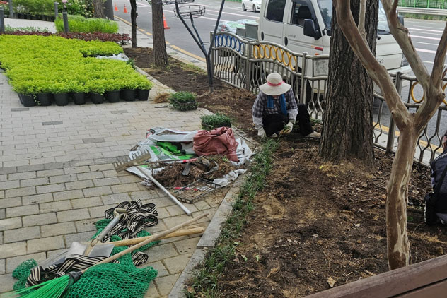 조성사진
