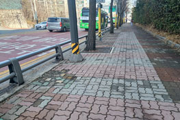 조성사진