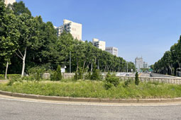 조성사진