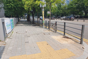 조성사진