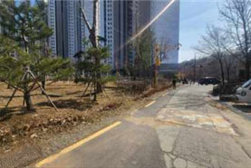 조성사진