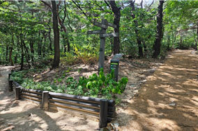 조성사진