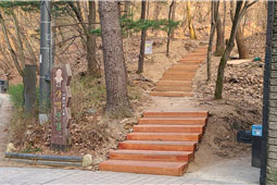 조성사진
