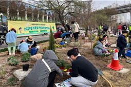 조성사진