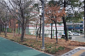 조성사진