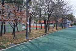 조성사진