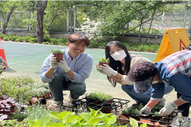 조성사진